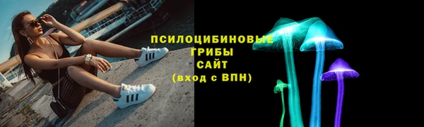 apvp Пересвет