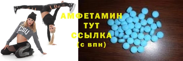 apvp Пересвет