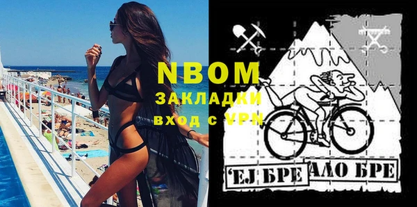 дурь Пестово