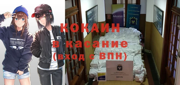 apvp Пересвет