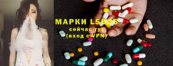 apvp Пересвет