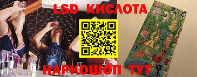 стаф Донецк