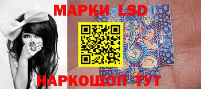 стаф Донецк