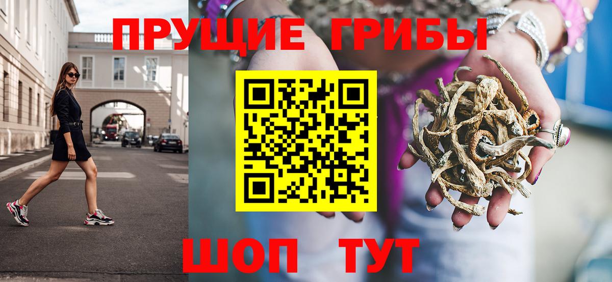 Псилоцибиновые грибы Psilocybine cubensis  Казань 