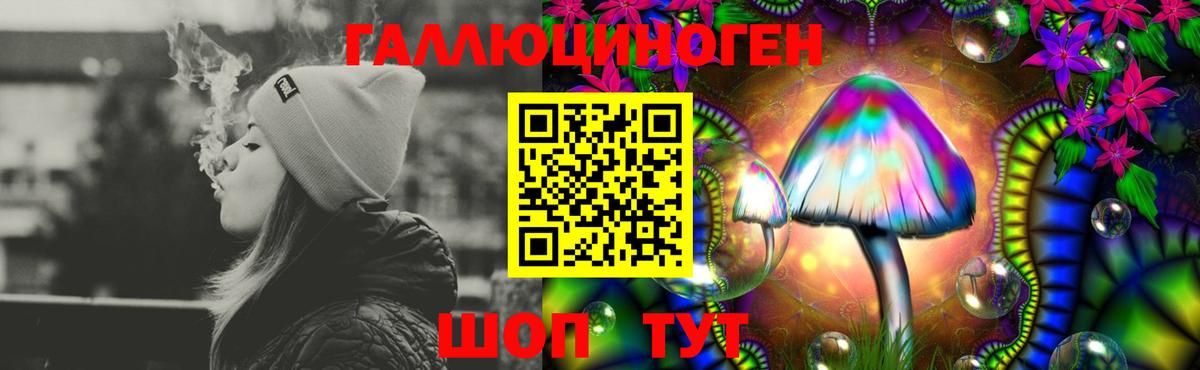 Галлюциногенные грибы MAGIC MUSHROOMS Казань